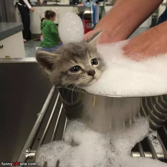 Got My Bubble Bath