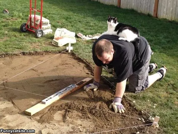 I Am Just Helping