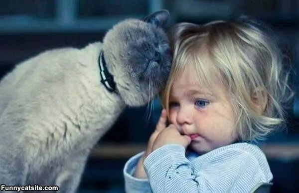 Cutest Head Rub Ever