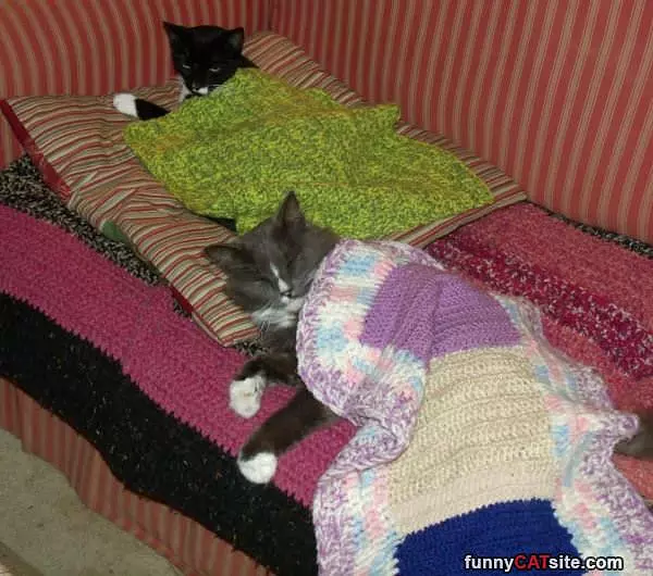 We Are All Tucked In