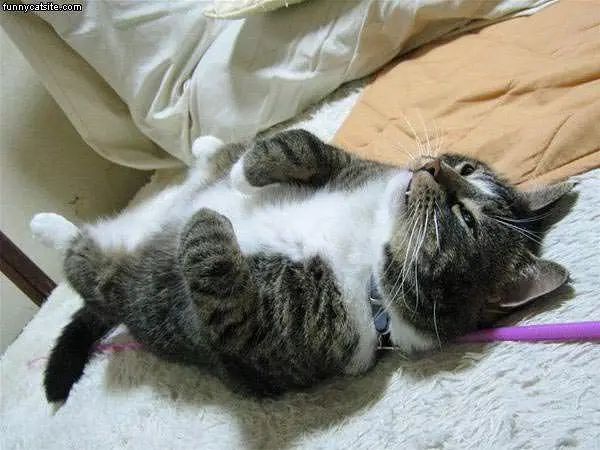 Sleep On His Back