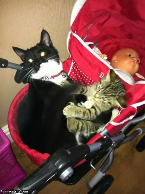Its Mine No Its Mine