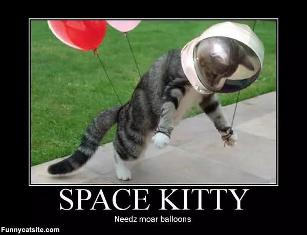 Space Kitty