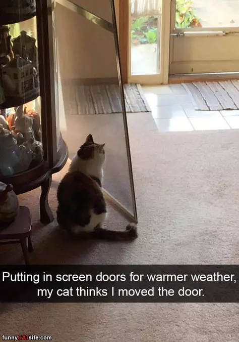 Moved The Door