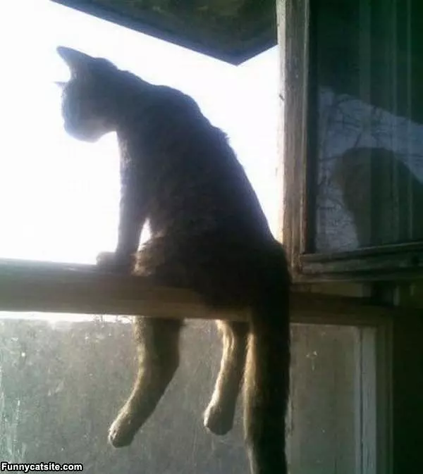 Just Sitting