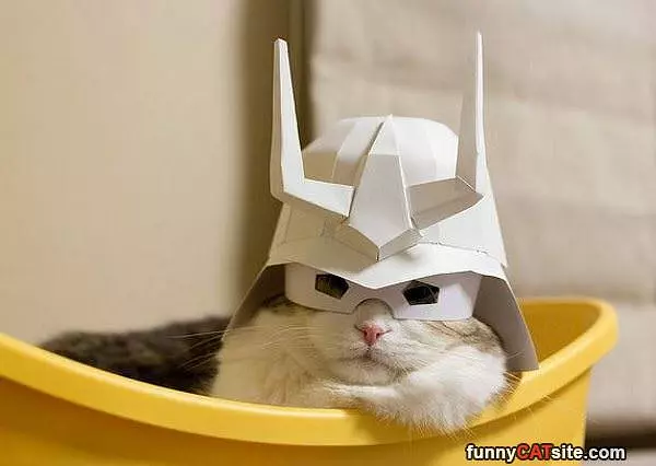 Awesome Helmet