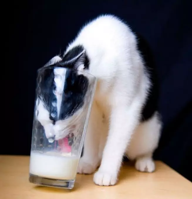 This Milk Is Delicious