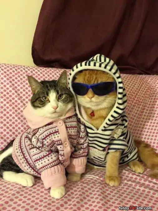 Yo Yo Yo Wassup