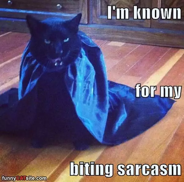 Sarcasm