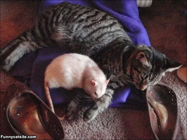 Keeping Each Other Warm
