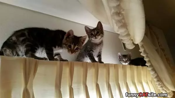 Watching You Wall