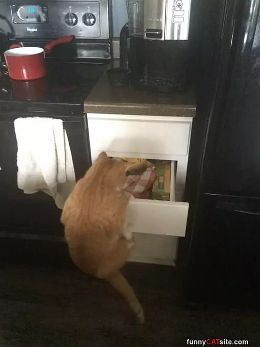Let Me In Here