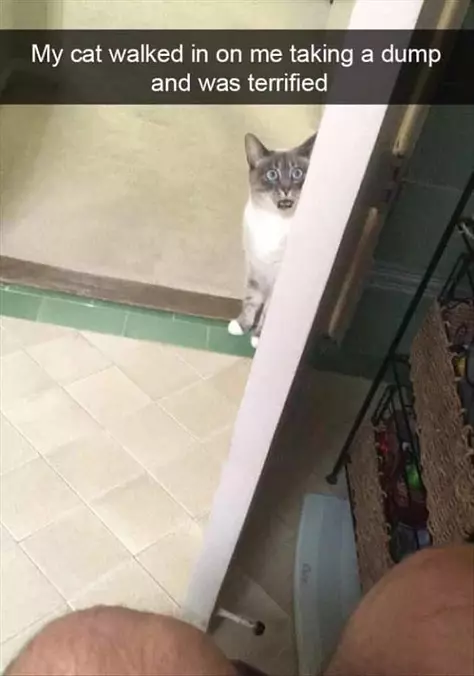 What Are You Doing In There