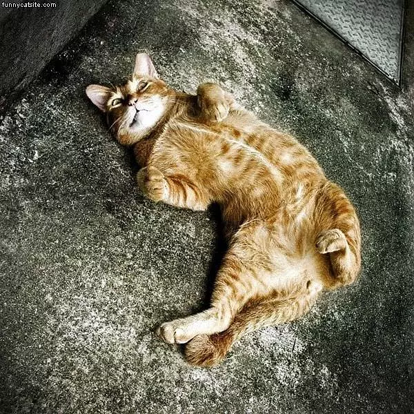 Sleeping On Back