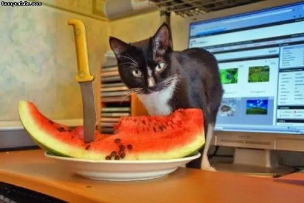 My Watermelon