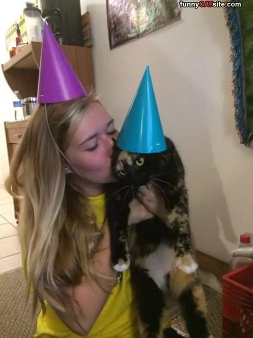 Not A Happy Birthday