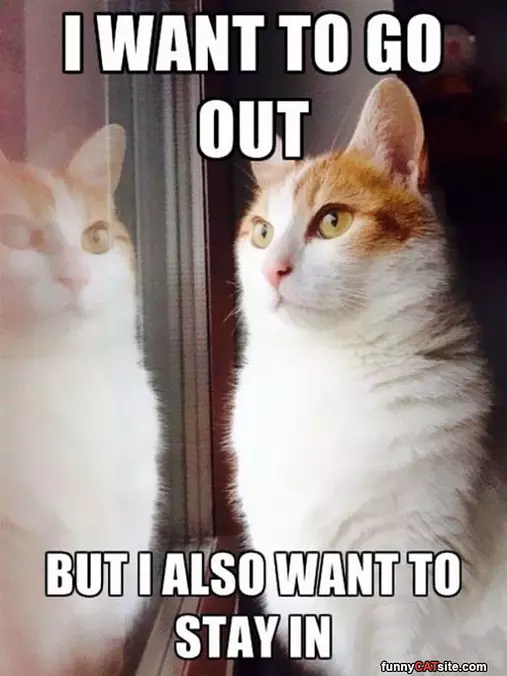 I Want To Go Out