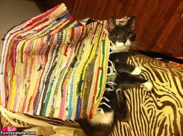 Fabric Fort