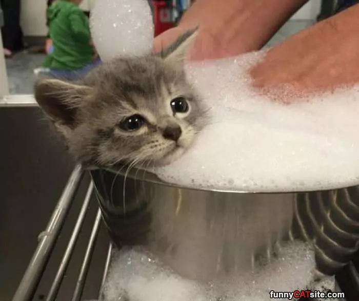 Getting A Bubble Bath