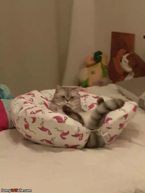 Chilling