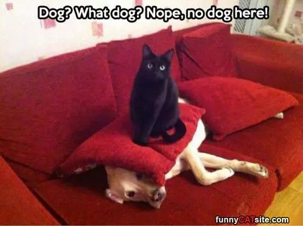 Nothing To See Here