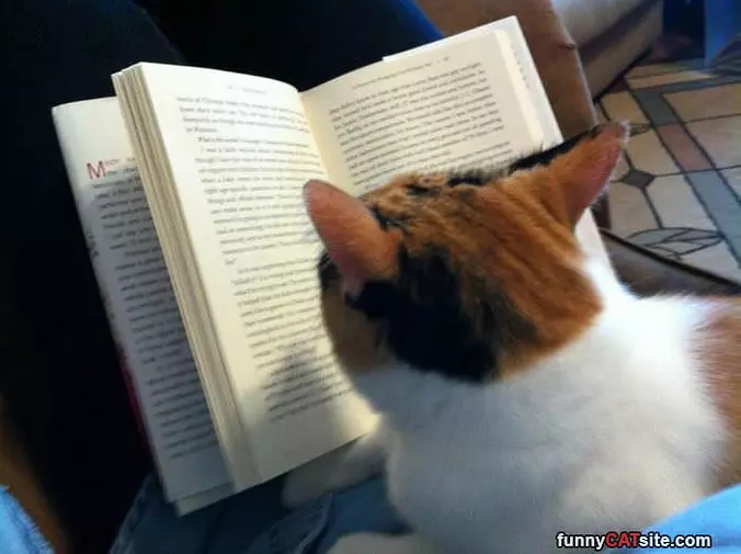 I Can Read This