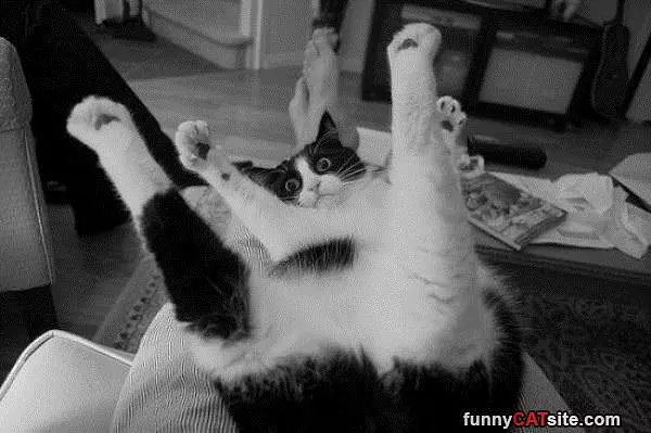 My Yoga Time