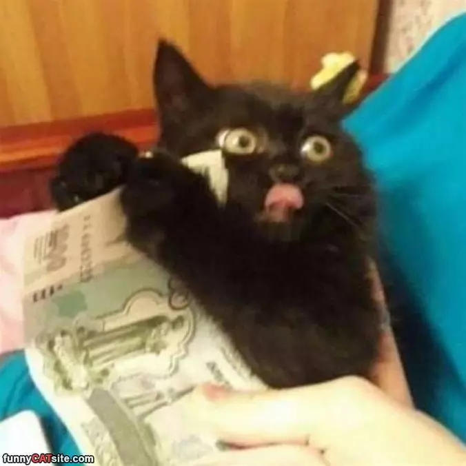 Thanks For The Money