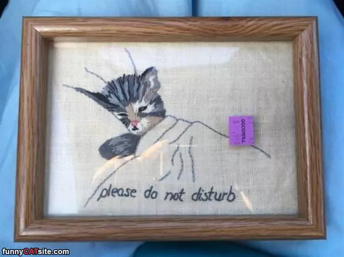 Please Do Not Disturb