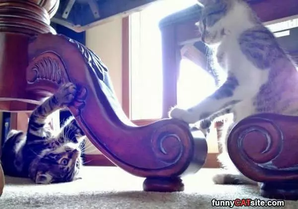 It Is Play Time Now