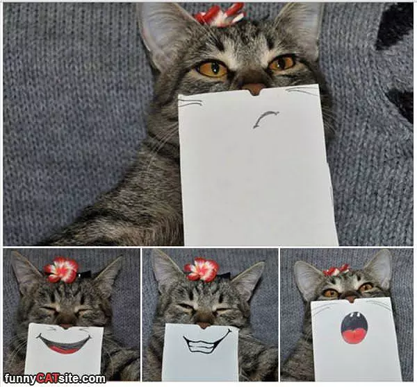 All Kinds Of Face