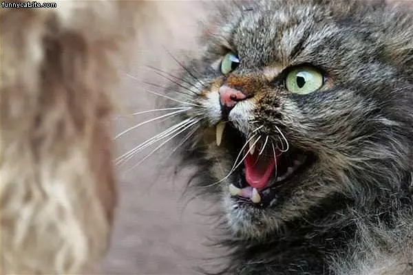 Anger