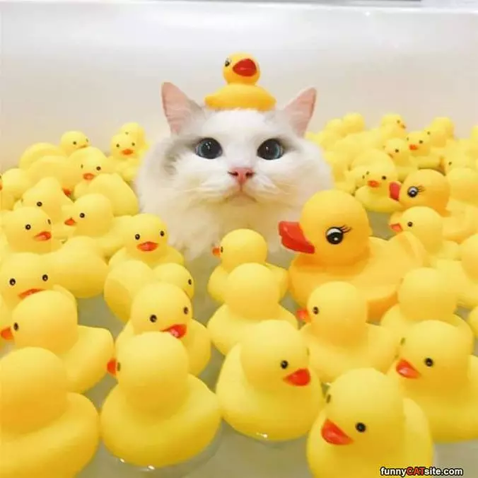 In The Bath