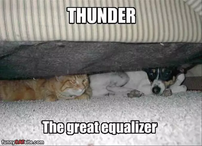 We Both Hate The Thunder
