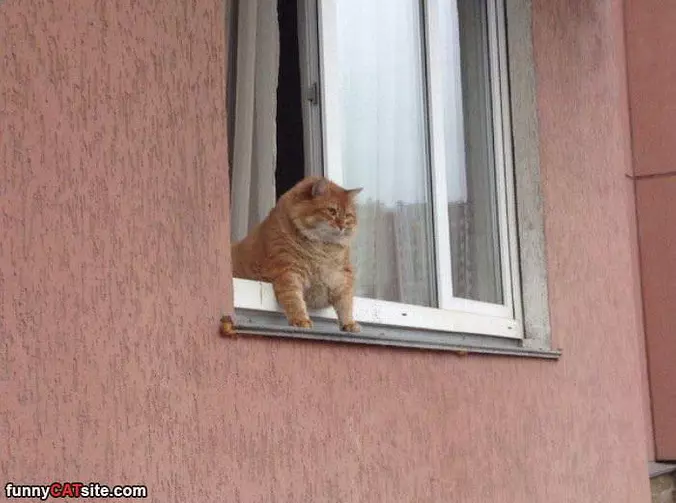 Watching You All