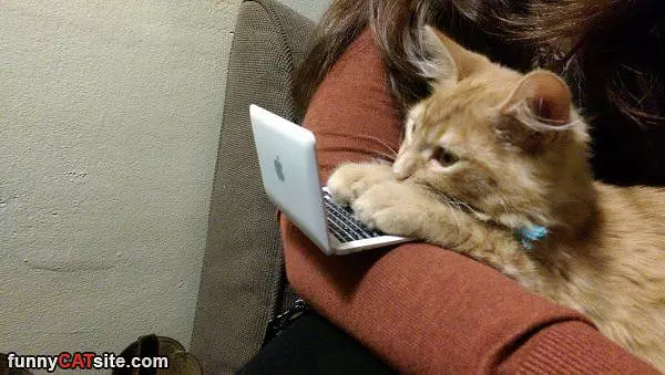 Sending Some Texts