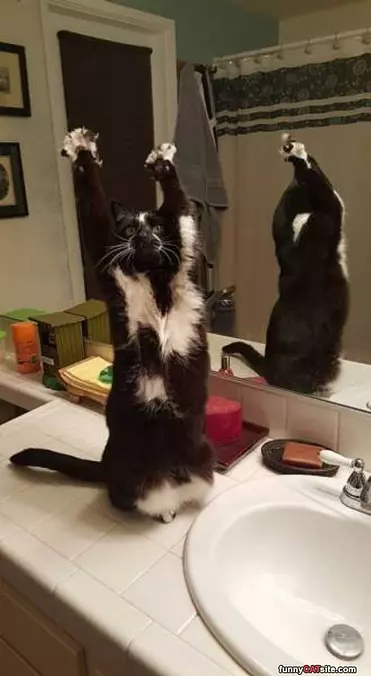 Hands Up