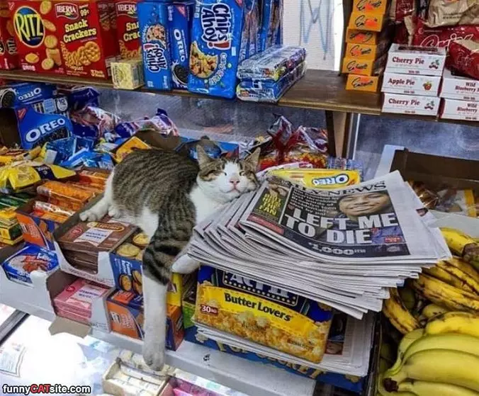 Place To Nap