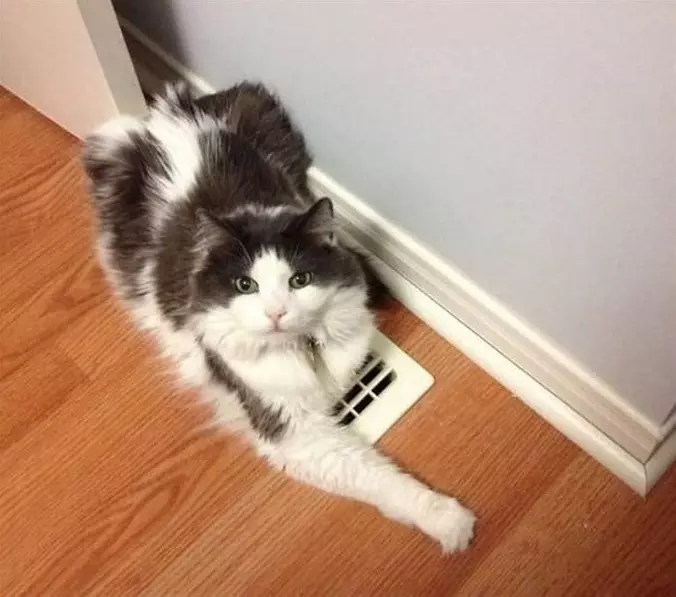 On The Vent