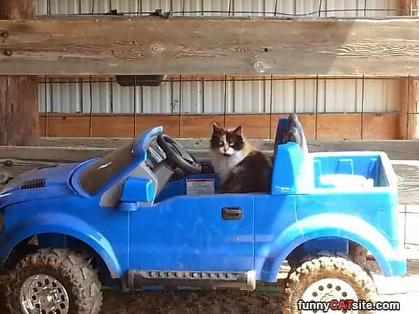 Cmon Get In