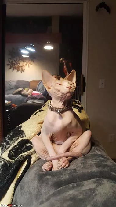 Sit And Stare