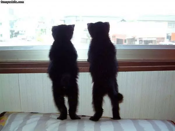 Big World Out There