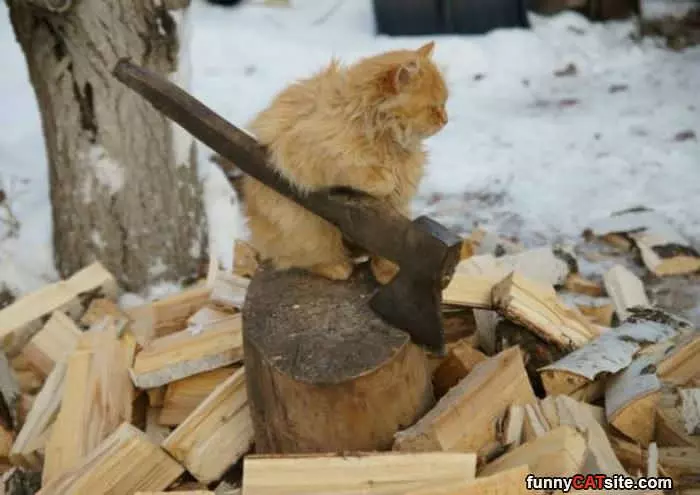 Chopping Wood