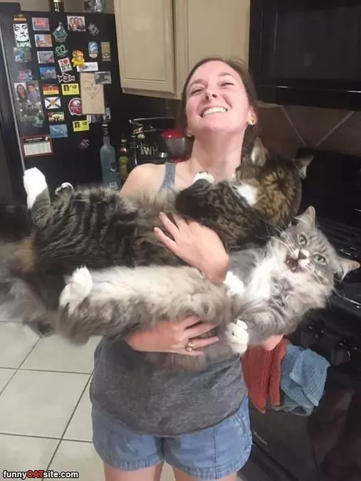 My Fluffies