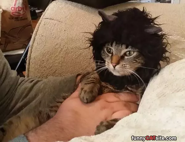 My New Hairdo