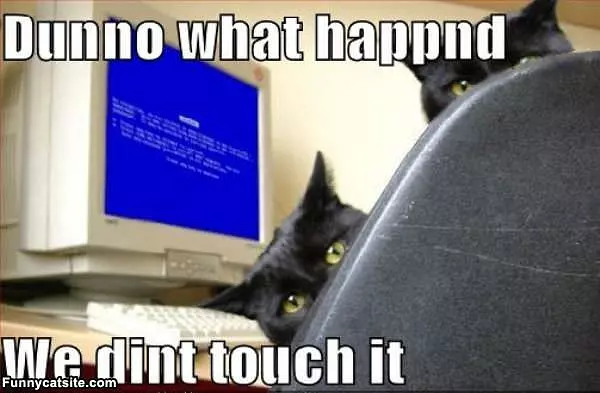 We Didnt Touch It