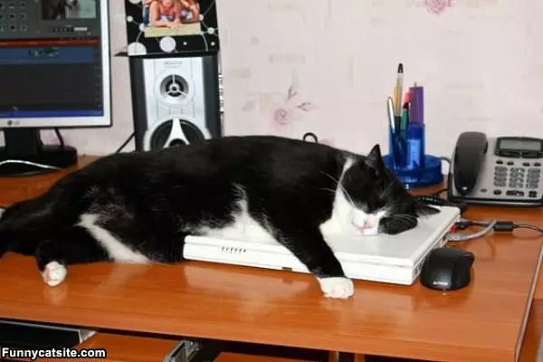 This Computer Is Warm