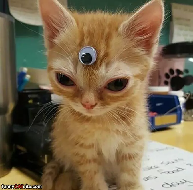 I See All