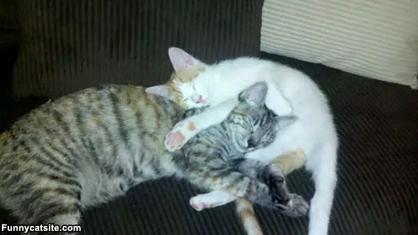 Sleeping Funny