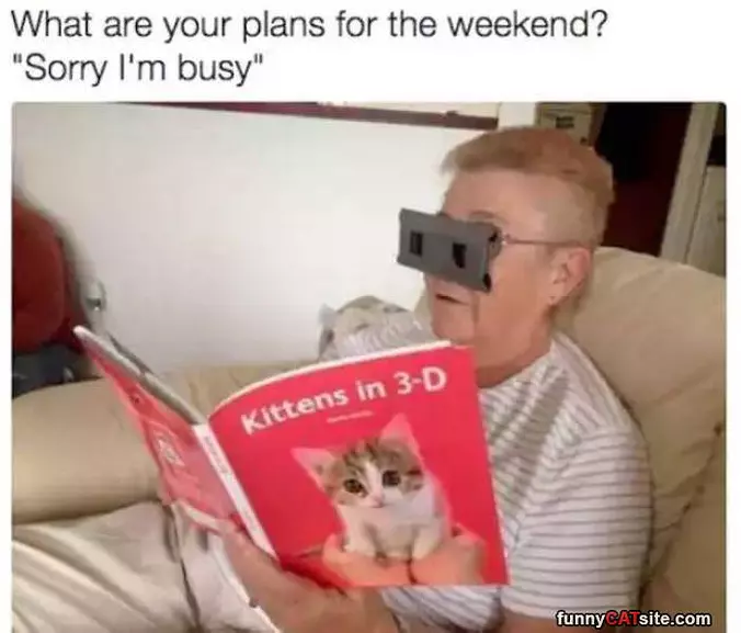 Your Plans For The Weekend